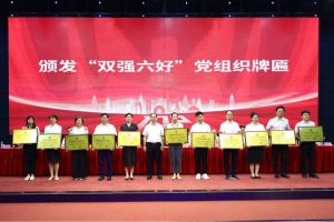喜报！开云手机客户端_开云(中国)官方集团党支部荣获广州市非公有制经济组织“双强六好”党
