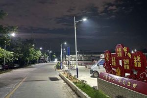 开云手机客户端_开云(中国)官方集团罗宁弟爱心捐赠路灯，点亮乡村路温暖乡民心