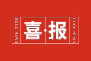 喜报！开云手机客户端_开云(中国)官方集团党支部书记、总裁陈文舒荣登“2024人力资源服务机构100人”榜单